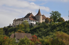 Schloss, Erlach